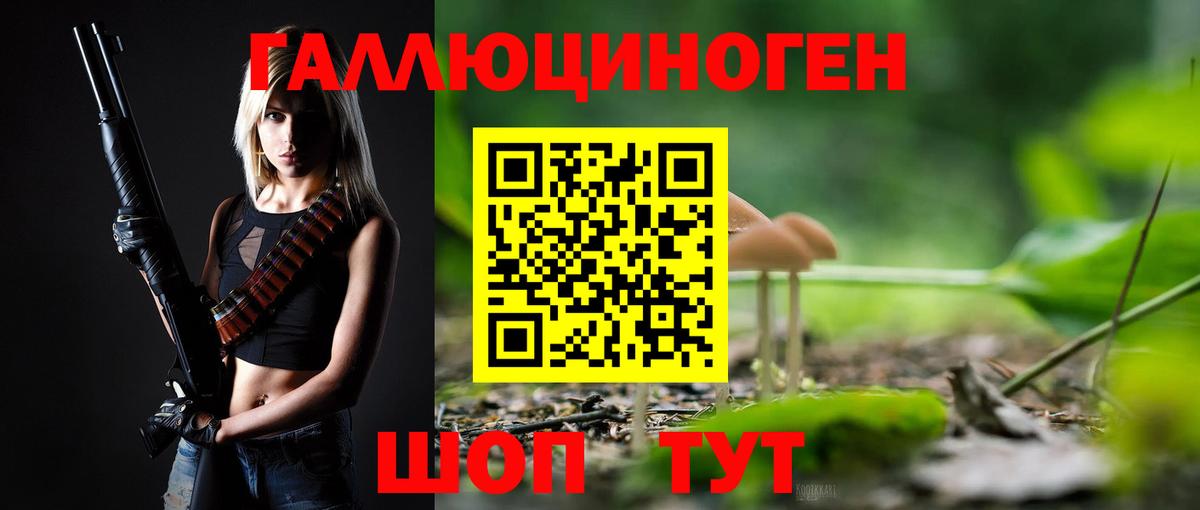 Тара  Псилоцибиновые грибы GOLDEN TEACHER  Вход с VPN 